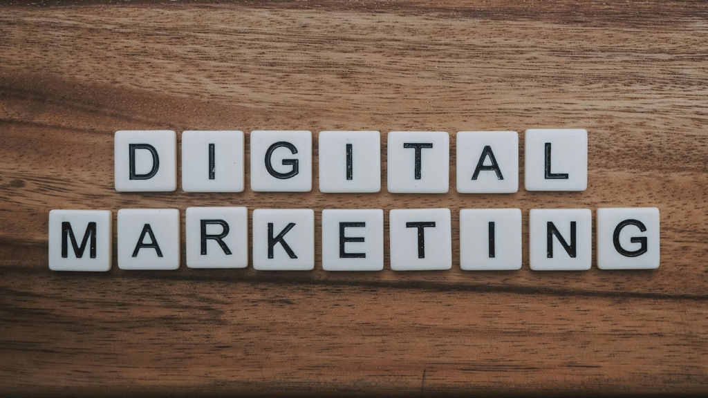 Digital Marketing Courses for Freshers in India
