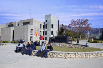 Best Skills to Earn Money for College Students in India