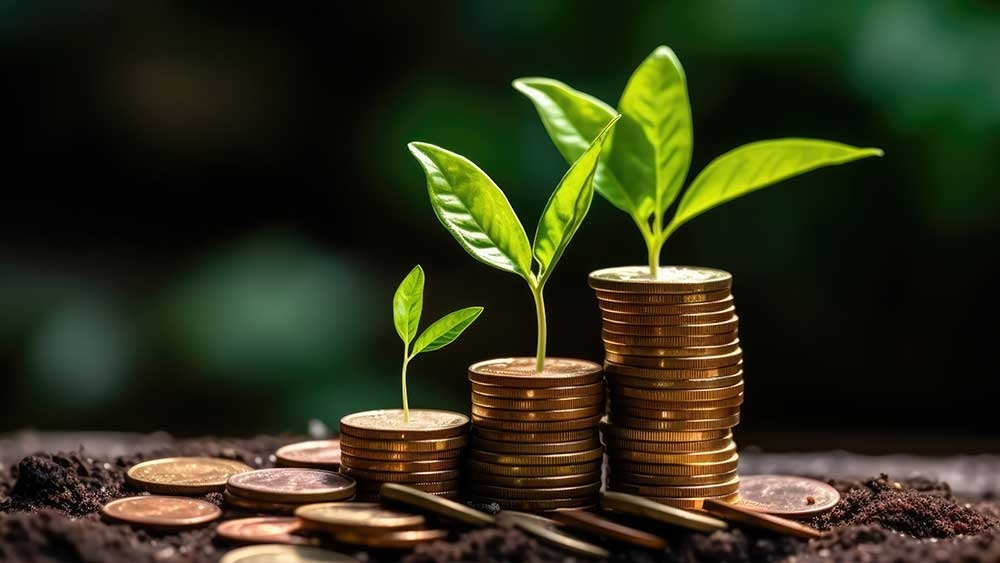 Mutual Funds for Beginners in India 2026: Complete Guide -